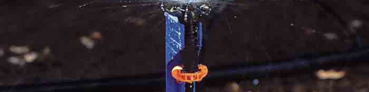 Sprinklerbewässerung Sprinklerbewässerung