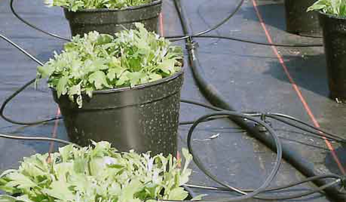 Wasserverteilung und Wassereinsparung