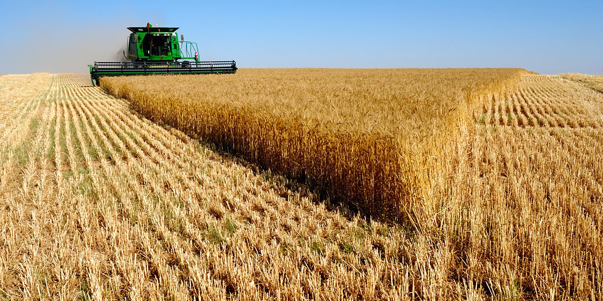 Landwirtschaft / Sonderkulturen