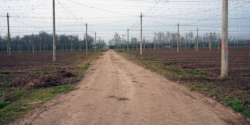 Image - Landwirtschaft/ Agrarwirtschaft - Bewässerung