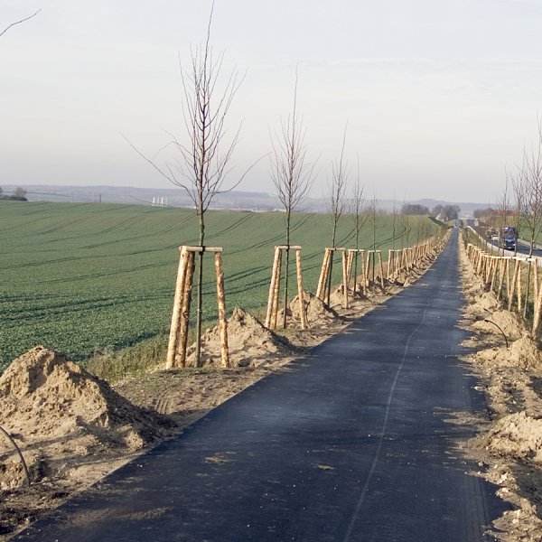 Straßenbegleitgrün